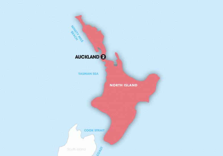 Auckland Explorer